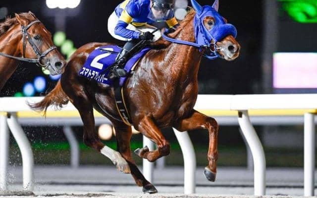 【船橋・平和賞結果】スマトラフレイバーが逃げ切って重賞初制覇