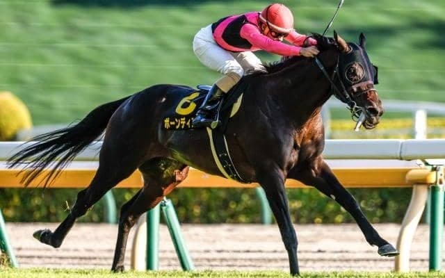 【AR共和国杯予想】明暗が分かれる脚質に注目 AIは穴馬を指名