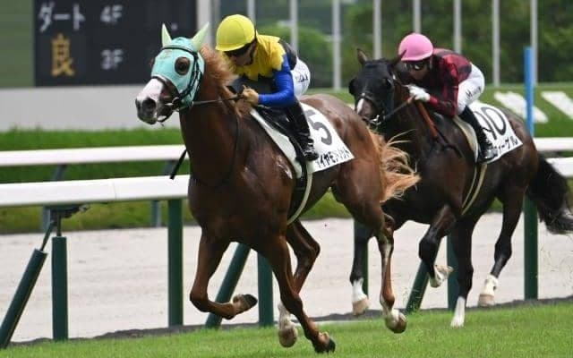 【京王杯2歳S出走馬・騎手確定】ダイヤモンドノット＆C.ルメール騎手、シャオママル＆A.プーシャン騎手など16頭