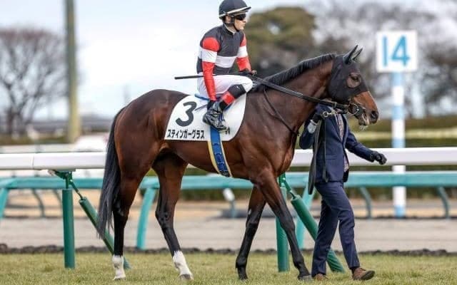 【AR共和国杯出走馬・騎手確定】スティンガーグラス＆C.ルメール騎手、ホーエリート＆戸崎圭太騎手など18頭