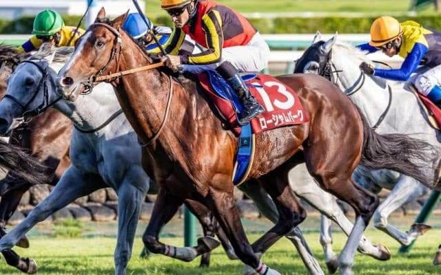 【AR共和国杯】過去10年で7勝 圧倒的ノーザンファーム勢の中で存在感放つ\"非ディープ系\"