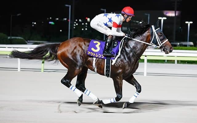 【みやこS枠順確定】アウトレンジは5枠9番、ダブルハートボンドは7枠12番