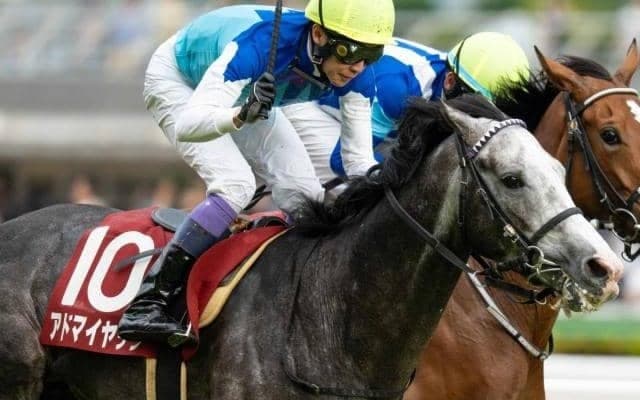 半兄は目黒記念覇者のアドマイヤテラ アドマイヤシュラがデビュー勝ちなるか