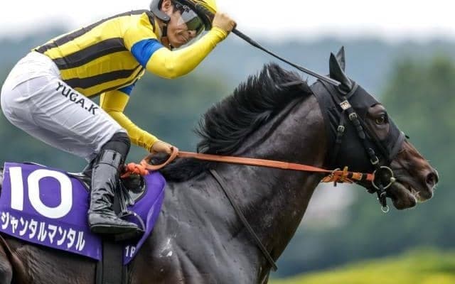 【マイルCS想定馬・騎手】ジャンタルマンタル、ソウルラッシュなど23頭