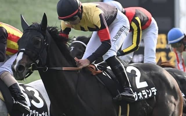 先週末『ザ・ロイヤルファミリー』にSnow Man・目黒蓮さんが登場 放送当日に「黒帽」を買い続けると？