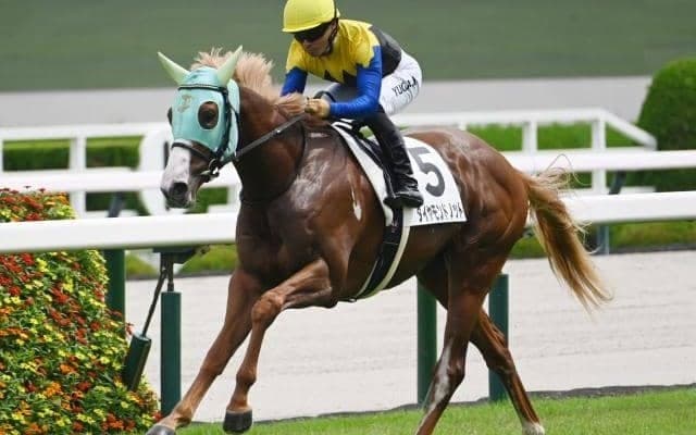 【今日の注目ポイント】京王杯2歳Sと京都JSの2重賞