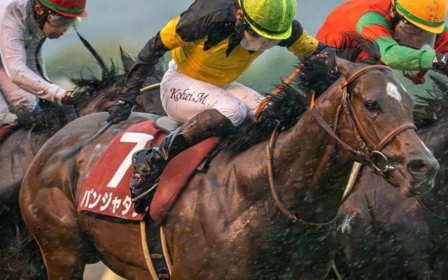 【京王杯2歳S】過去10年データから浮かぶ傾向 安定感ある前走〇〇組に注目