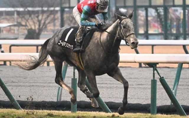 【豪・クイーンエリザベスS結果】ゴールデンスナップは3着と健闘