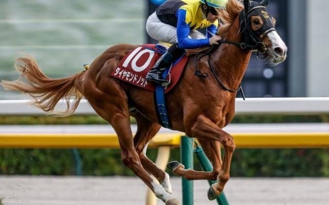 【京王杯2歳S結果】ダイヤモンドノットが3馬身差完勝で重賞初制覇