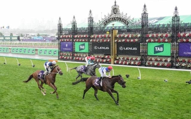 【豪クイーンエリザベスS】ゴールデンスナップは3着に好走…不良馬場で勝負根性を発揮