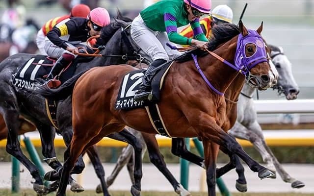 	【AI予想・AR共和国杯】今年は4歳馬が主役になる!? 重賞級のポテンシャルを秘める人工知能の本命馬