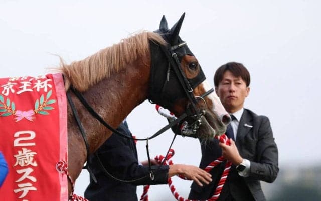 【京王杯2歳S】ルメール「福永厩舎のおかげでベストコンディションでした」ダイヤモンドノットが重賞初制覇