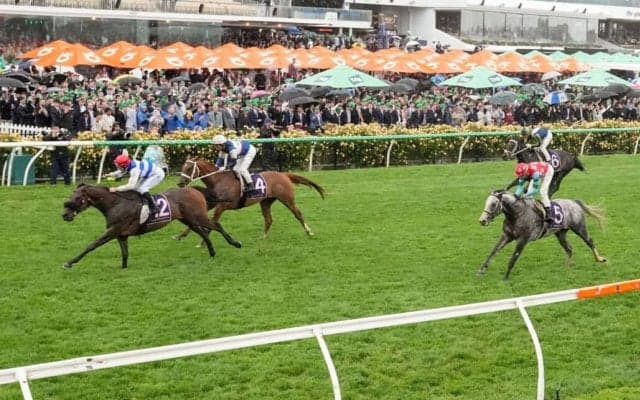 【豪クイーンエリザベスS】ゴールデンスナップは泥んこ馬場でもしぶとく3着…ゴールドシップ産駒らしいスタミナを発揮