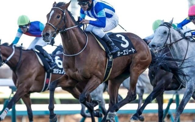 【今日の注目ポイント】AR共和国杯とみやこSの2重賞