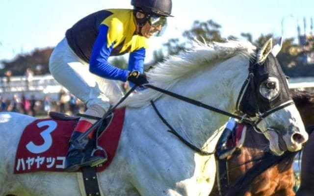 【AR共和国杯】複勝率86%の軸に最適な騎手とは？ 過去10年のデータを分析