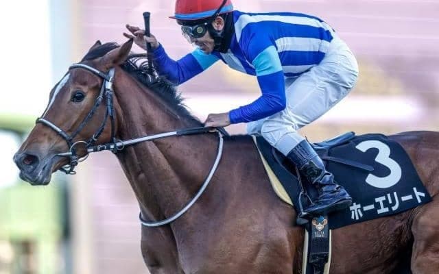 【AR共和国杯予想】タフさが要求されるコース 混戦模様のハンデ戦で一筋縄ではいかず