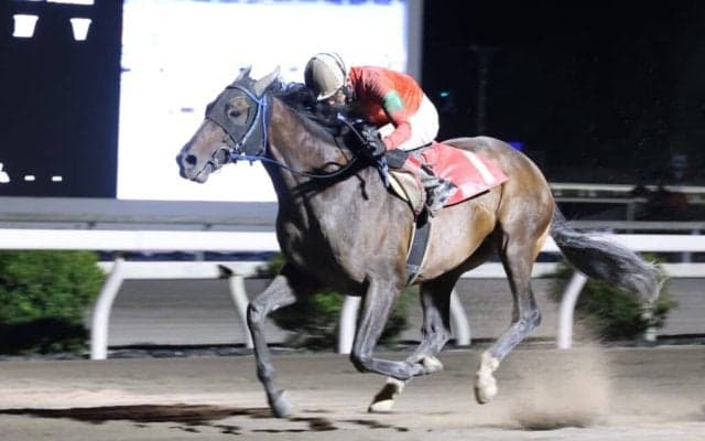 【高知競馬】別府真司調教師が地方通算2500勝達成