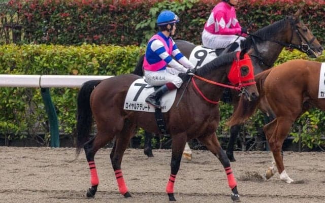 ロイヤルアデレードがデビュー戦で3着“ロイヤル”の名に恥じぬ末脚を披露…日曜劇場で話題