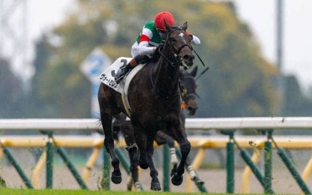 【新馬/東京5R】コントレイル産駒 ヴォートセレストがデビューV