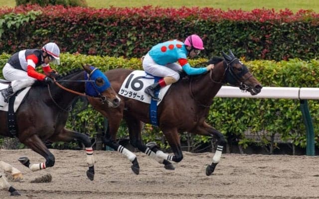 【東京2R】単勝1.4倍サンラザールが人気に応える
