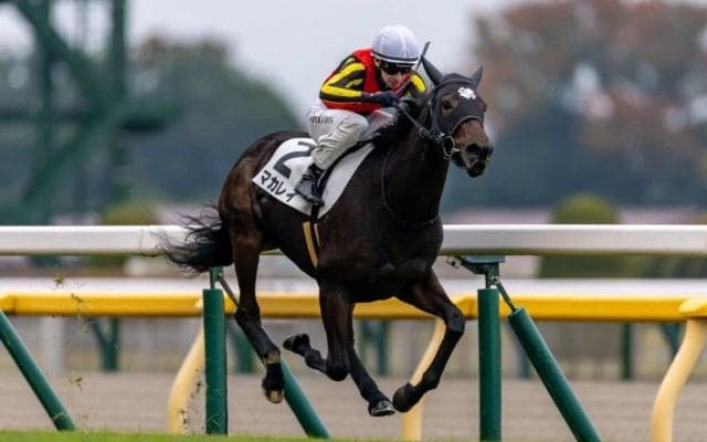 【東京1R】プーシャン騎乗 マカレイが人気に応える…最内から抜け出す