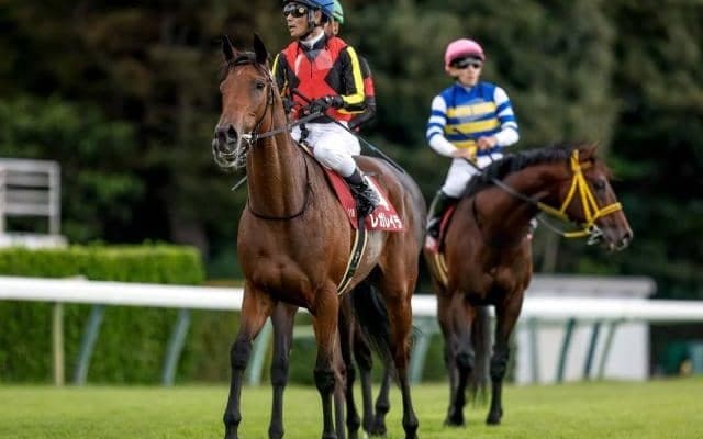 エリザベス女王杯など3重賞/今週の競馬界の見どころ