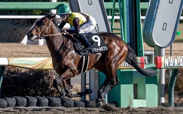 【武蔵野S見どころ】地力強化歴然のルクソールカフェ
