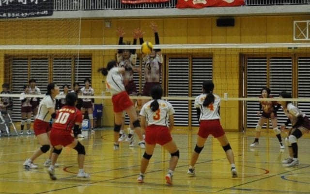 春高バレー神奈川大会、男女ともベスト4決まる　15日に準決勝と決勝