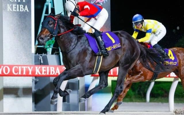 【大井・ハイセイコー記念枠順】3連勝中のゴーバディは5枠10番