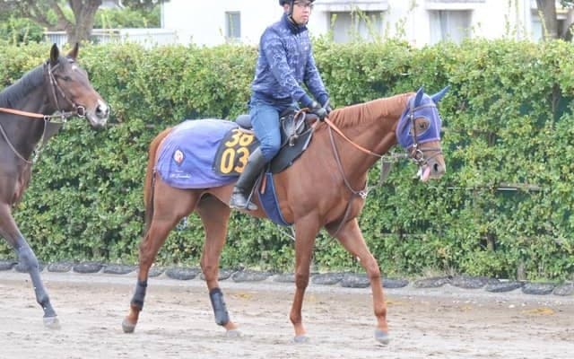 全兄が米G1馬のダノンマスタング 田中博師「いいスピードがありそう」/関東馬メイクデビュー情報