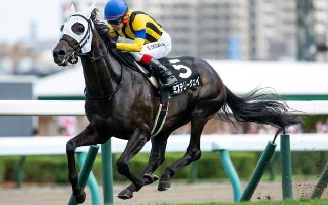 母父から受け継ぐ粘り強さで逃げ切り ミステリーウェイのAR共和国杯制覇を血統面から回顧