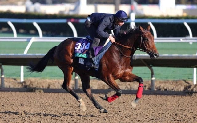 【ジャパンカップ】アイルランド＆フランスから4頭が正式参戦へ