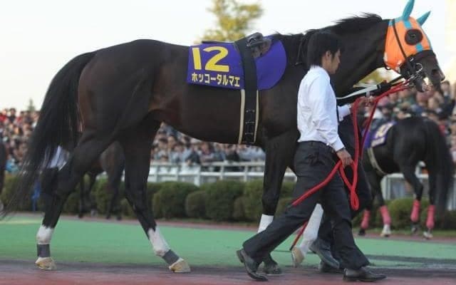現役時代はGI級10勝 種牡馬としても大活躍の名馬「ホッコータルマエ」を紹介