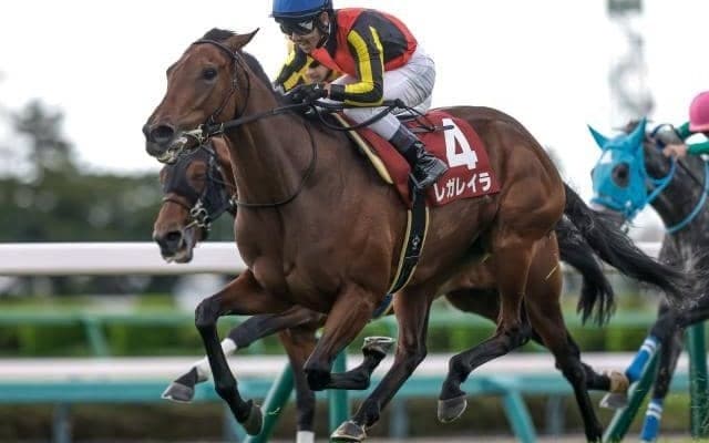 【エリザベス女王杯予想オッズ】レガレイラが予想1番人気