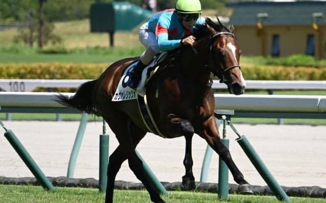 【デイリー杯2歳S予想オッズ】カヴァレリッツォが予想1番人気