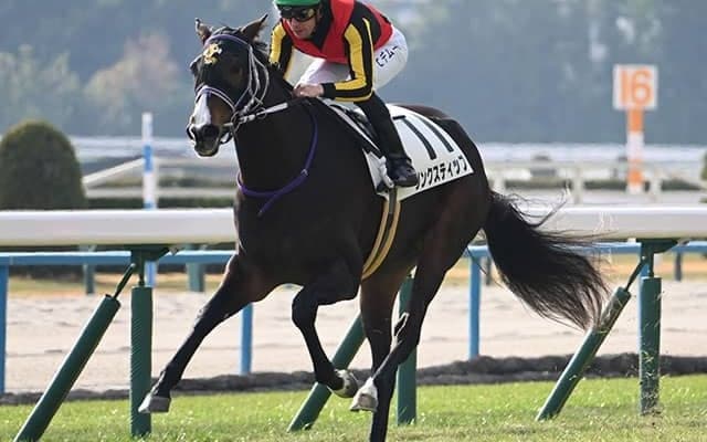 【エリザベス女王杯】18頭の香港馬名・馬名意味を紹介！『毛茸茸』『北島名花』はどの馬？