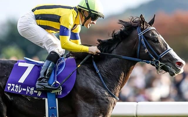 【ジャパンC想定】マスカレードボールやダノンデサイルなど11頭