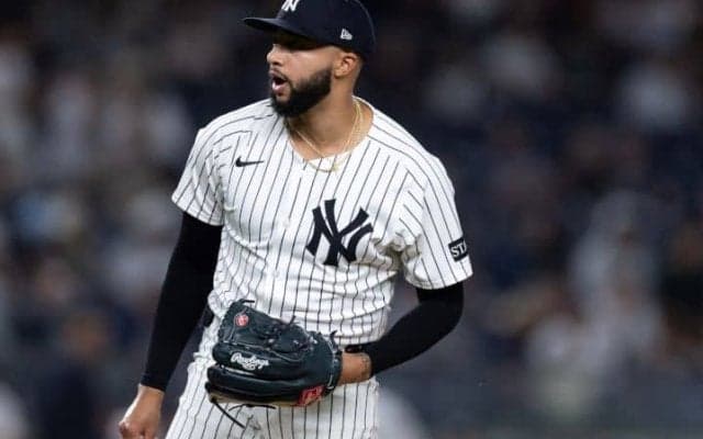 「ドジャースはFA市場で再びリリーフを探している」昨オフ112億円契約、タナー・スコットはPS登板なし　浮上するヤンキース31歳リリーバーの存在感