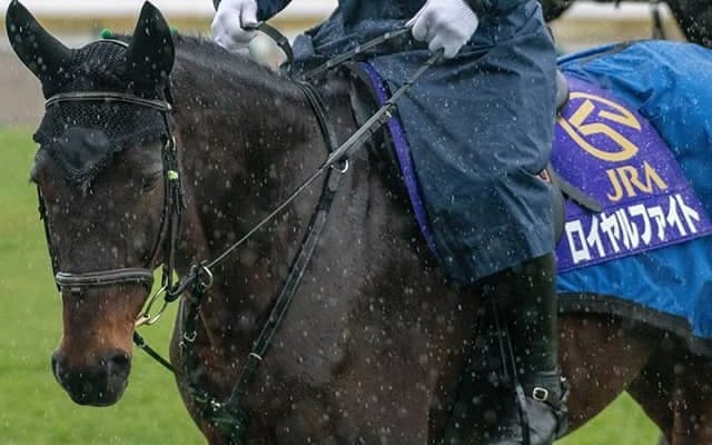 日曜劇場『ザ・ロイヤルファミリー』初回放送から1カ月 登場したJRAジョッキーや“出演馬”をまとめてみた