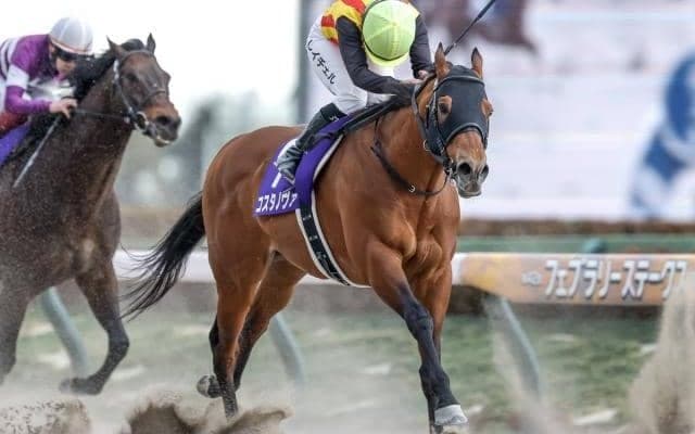 【武蔵野S出走馬・騎手確定】コスタノヴァ＆C.ルメール騎手、オメガギネス＆岩田康誠騎手など16頭