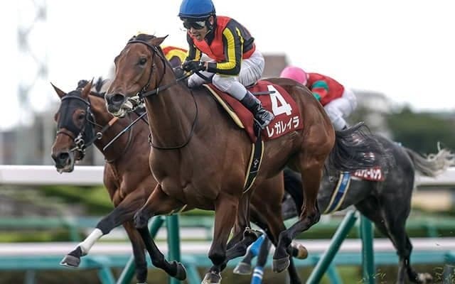 【エリザベス女王杯枠順確定】レガレイラは4枠7番、ココナッツブラウンは7枠13番