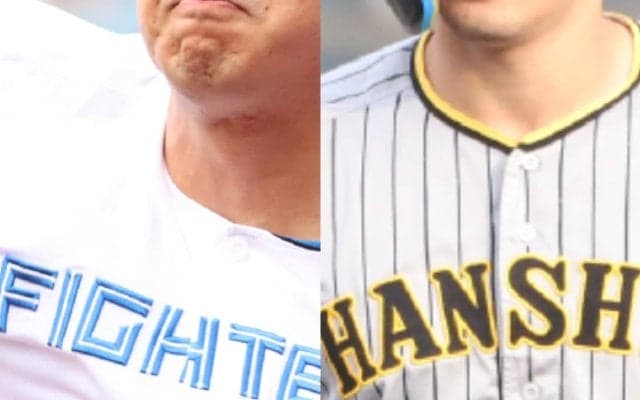 日ハム・伏見寅威と阪神・島本浩也がトレード！補強ポイントが合致