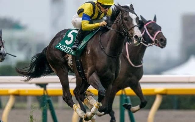 今年のアルテミスS覇者フィロステファニが登録抹消 今後は社台ファームで繁殖入りの予定