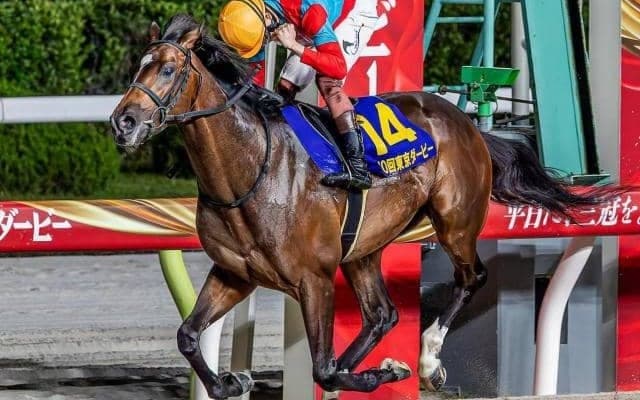 半兄は東京ダービー馬のラムジェット タイキブリッツェンがデビュー勝ちなるか