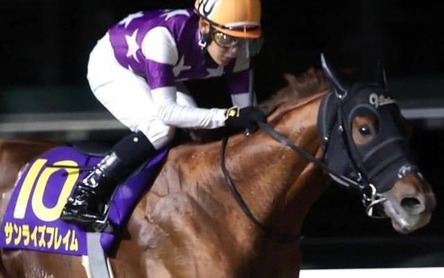 東京ダートはストームキャット系に要注意 武蔵野Sはサンライズフレイムが波乱呼ぶ