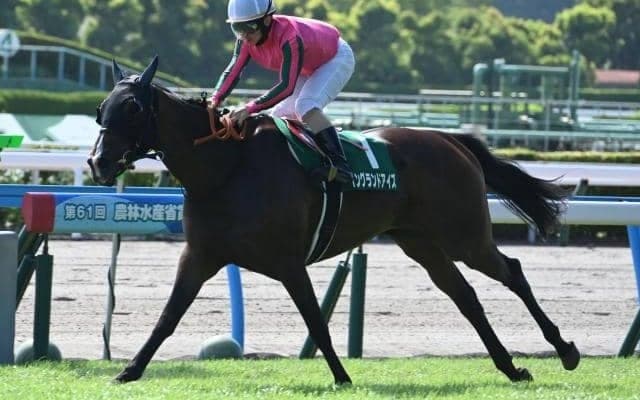 【福島記念想定馬・騎手】イングランドアイズ、アラタなど19頭