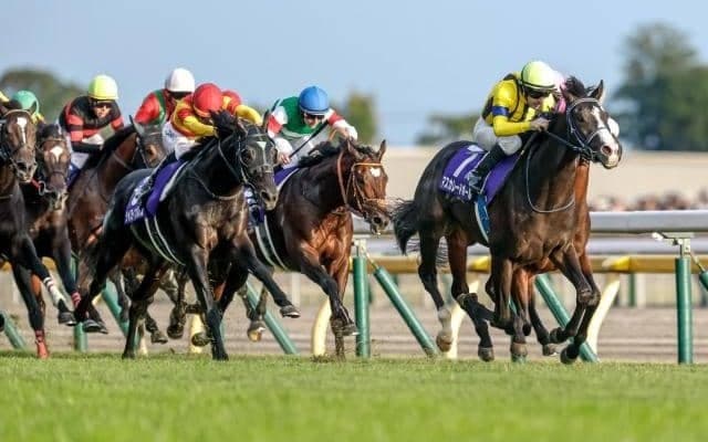 【ジャパンC想定馬・騎手】マスカレードボール、クロワデュノールなど16頭