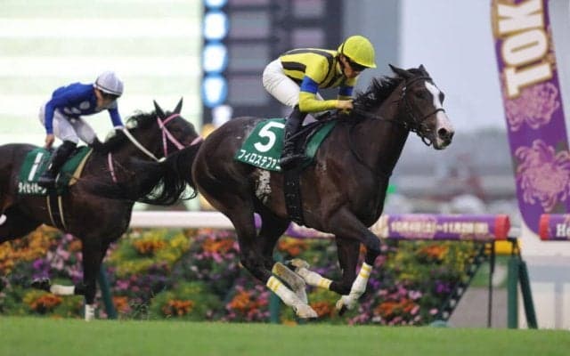 アルテミスS勝ちのフィロステファニが競走馬登録を抹消…今後は社台ファームで繁殖入り