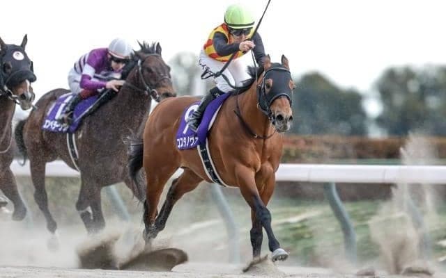 【今日の注目ポイント】武蔵野Sとデイリー杯2歳Sの2重賞