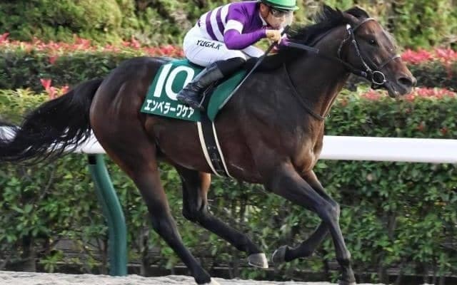 過去10年で1枠は馬券圏内なし 武蔵野Sで注目すべき条件とは